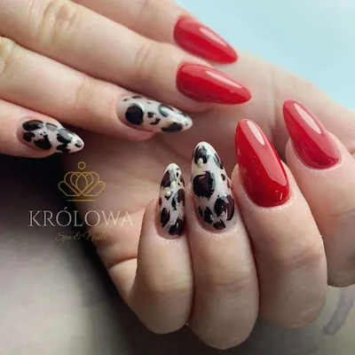 Królowa Spa&Nails